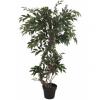 EUROPALMS Ficus multiple spiral trunk, artificial plant, green,