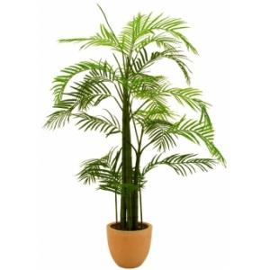 EUROPALMS Areca palm, 110cm