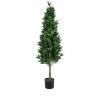 EUROPALMS Laurel Cone Tree, high trunk, artificial plant, 150cm