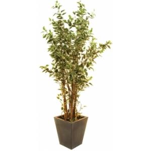 EUROPALMS Ficus tree deluxe, artificial plant, 240cm