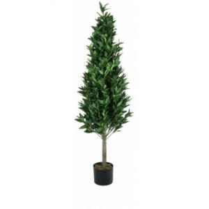 EUROPALMS Laurel Cone Tree, high trunk, artificial plant, 180cm