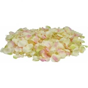 EUROPALMS Rose Petals, yellow/pink, 500x