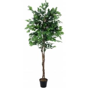 EUROPALMS Ficus Tree Multi-Trunk, artificial plant, 210cm