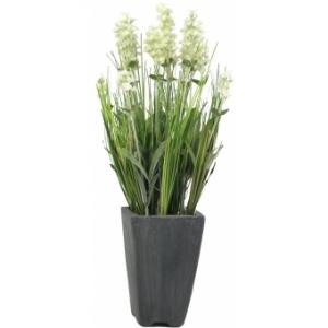 EUROPALMS Lavender, artificial plant, cream, in pot, 45cm