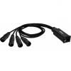 Adam hall cables 4 star catbox xm3 - audio &amp; dmx adapter 3-pole