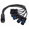 9568sl02 - spider cable th07 3x2.5mm, socket socapex 19p 23a, cee plug