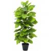 EUROPALMS Pothos plant, artificial, 125cm