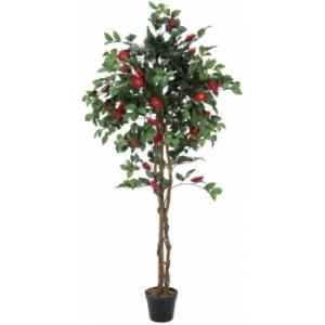 EUROPALMS Camelia red cemented, artificial plant, 180cm