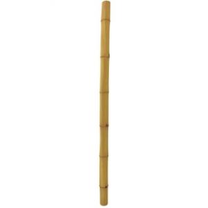 EUROPALMS Bamboo tube, &Oslash;=12cm, 200cm