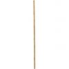 EUROPALMS Bamboo tube, &Oslash;=3cm, 200cm