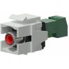 Vck105p/w - keystone adapter - rca female - 2-pin terminal block -