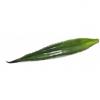 Europalms aloe leaf (eva), artificial, green, 60cm