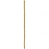 Europalms bamboo tube, &oslash;=5cm,
