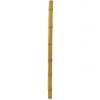 Europalms bamboo tube, &oslash;=8cm,