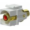 Vck107p/w - keystone adapter - rca female -