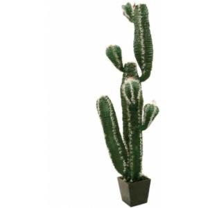 EUROPALMS Mexican cactus, artificial plant, 170cm