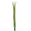 Europalms reed grass, light green, artificial,  127cm