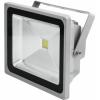 EUROLITE LED IP FL-50 COB 6400K 120&deg; classic