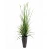 EUROPALMS River grass April, artificial, 175cm