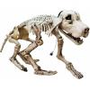 Europalms halloween skeleton dog, 71x40x25cm
