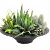 EUROPALMS Mixed succulent bush, artificial plant, 38cm