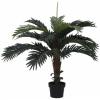 EUROPALMS Coconut palm, artificial plant, 90cm
