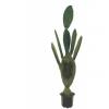EUROPALMS Nopal cactus, artificial plant, 130cm