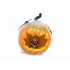 EUROPALMS Halloween Pumpkin in Spider Web, 25cm