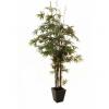 Europalms bamboo black trunk, artificial plant, 240cm
