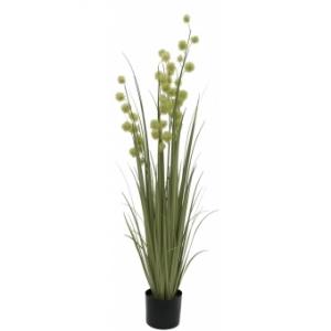 EUROPALMS Allium Grass, 122cm
