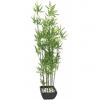 EUROPALMS Bamboo in bowl, artificial, 120cm