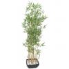 EUROPALMS Bamboo in bowl, artificial, 150cm