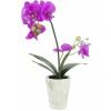 Europalms orchid arrangement 3, artificial