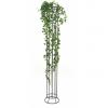 Europalms holland ivy bush tendril premium,