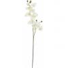 EUROPALMS Orchid branch, artificial plant, cream-white, 100cm