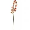 Europalms cymbidium branch, artificial, creme-pink, 90cm