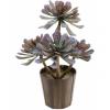 Europalms succulent aeonium plant, artificial, 30cm