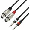 Adam hall cables k3 tfp 0100 - cable 2 x xlr female