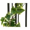 EUROPALMS Holland ivy garland premium, artificial, 180cm