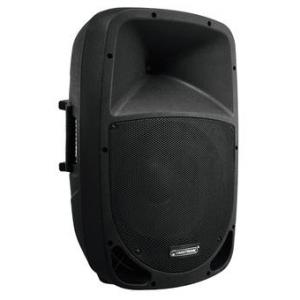 OMNITRONIC VFM-215 2-way speaker