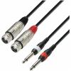 Adam hall cables k3 tfp 0600 - cable 2 x xlr female to 2 x 6,3 mm mono