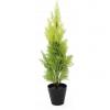 Europalms cypress, leyland, artificial plant, 60cm