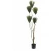 EUROPALMS Papyrus plant, artificial, 130cm