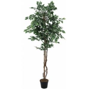 EUROPALMS Variegated Ficus, artificial plant, 180cm