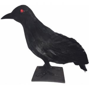 EUROPALMS Halloween Raven 30x11x23cm