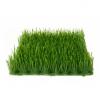 Europalms artificial grass tile, shade, 25x25cm