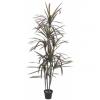 EUROPALMS Dracaena, green-red, artificial,  180cm