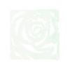 EUROPALMS Room Divider Rose clear 4x