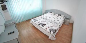 Apartament 2 camere Mosilor