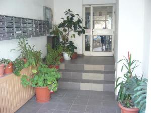 Apartament 3 Camere Calea Calarasilor